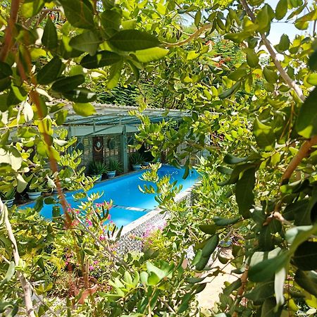 Silk Island Homestay Phnom Penh Eksteriør bilde