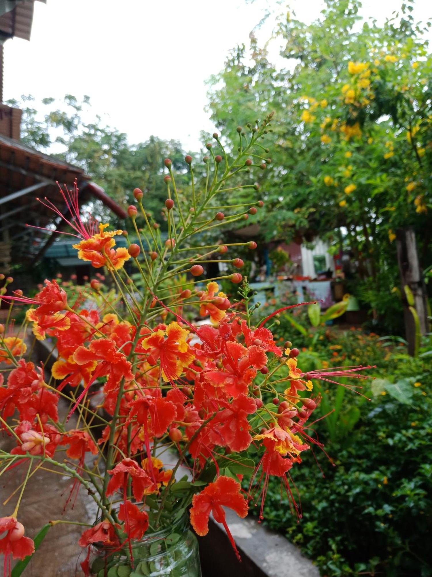 Silk Island Homestay Phnom Penh Eksteriør bilde